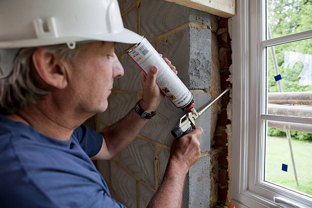 Best Insulation Maintenance and Repair in Alton, TX